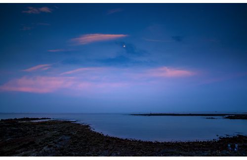 千里咨询小课堂|重磅:“BUD专项基金及EMF补贴迎来巨变”!